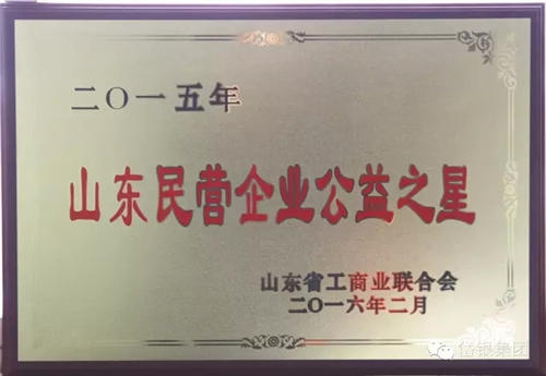 山东民营企业公益之星